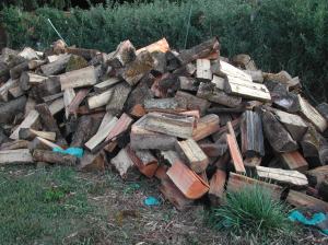 DSCN1434 We just got a load of wood for the winter.