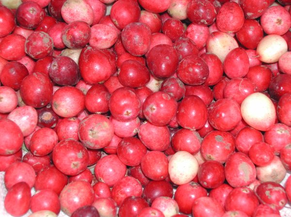 Cranberries