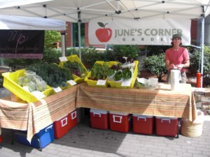 My in-laws stopped by on their way home from a weekend at the coast and took this picture