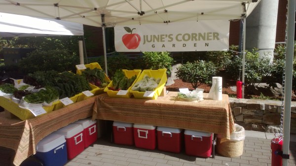 June's Corner Garden at the Salem Monday Hospital Market