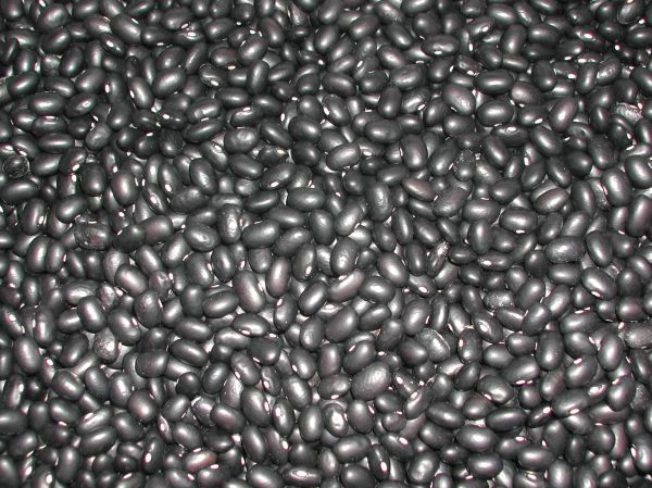Black Turtle Beans