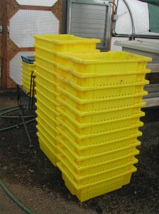 These bins will have to wait for warmer temperatures to be washed up and put away