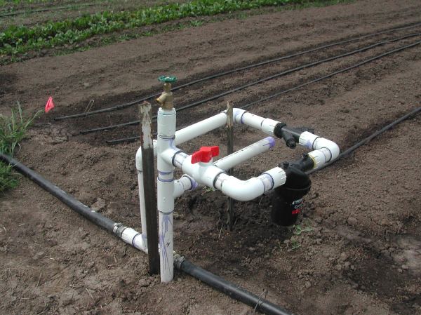 The new irrigation connection point for one of our new fields