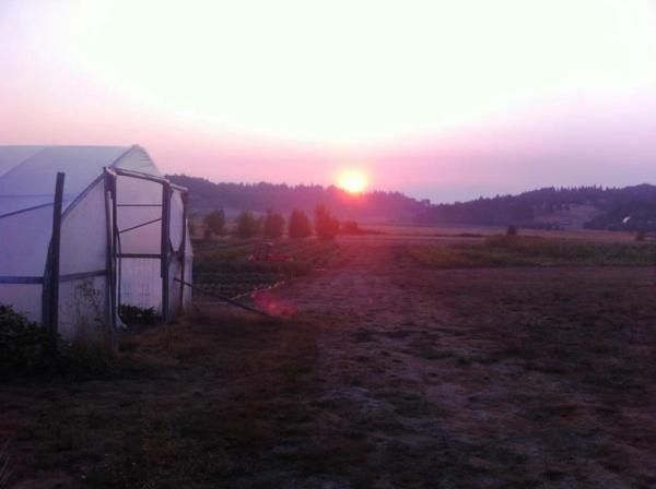 sunrise, photo by Beth R.