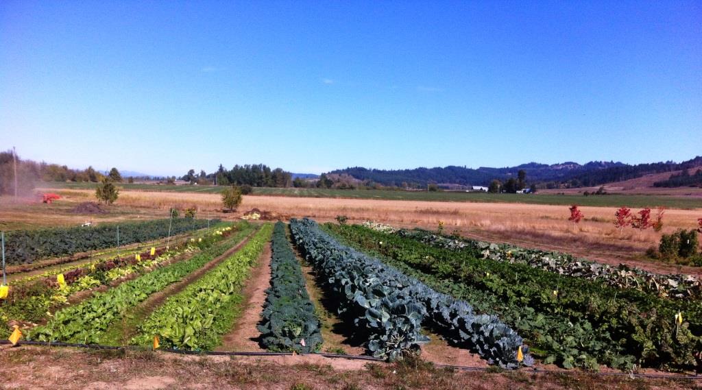 Field E, photo by Beth R.