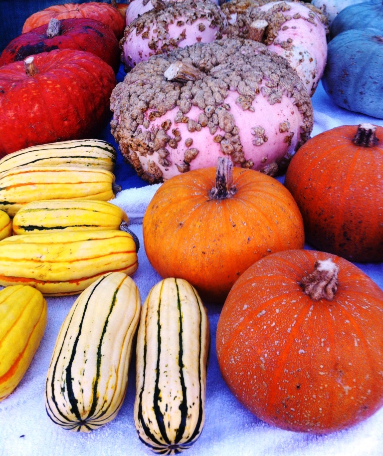 It was a good winter squash year, photo by Beth R.