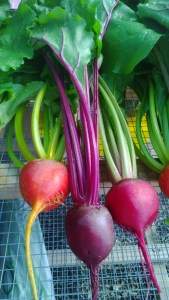 Beautiful beets